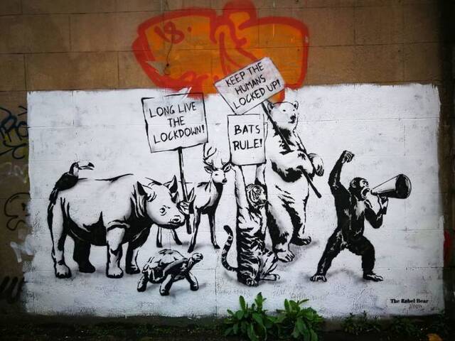 Bildschirmarbeiter - Picdump 26.06.2020