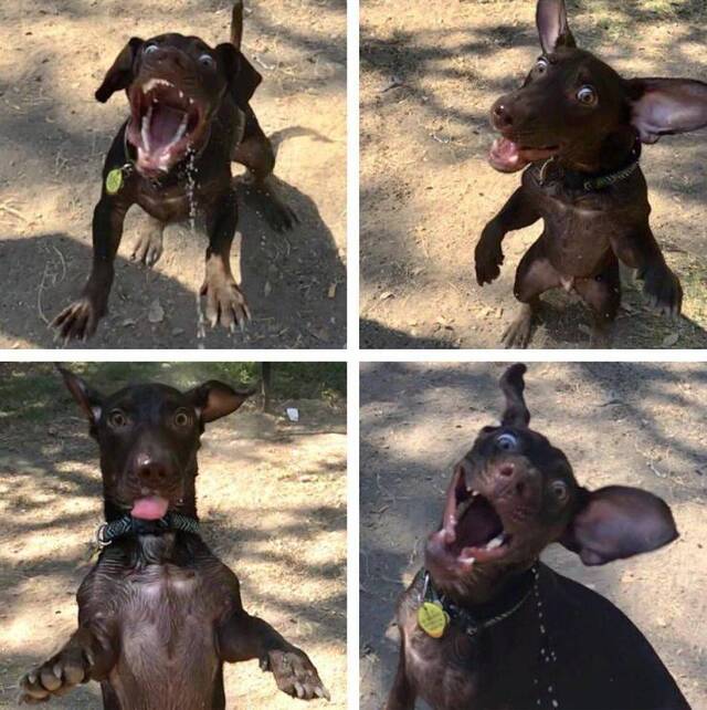 Bildschirmarbeiter - Picdump 26.06.2020