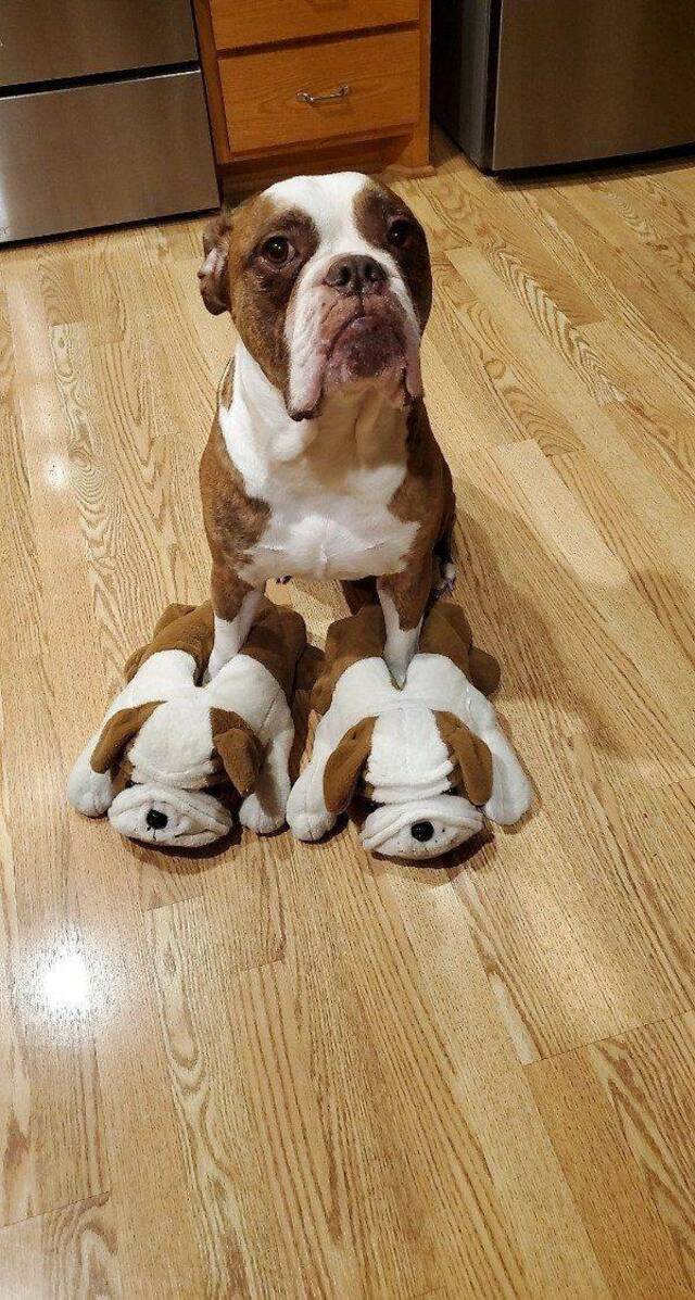 Bildschirmarbeiter - Picdump 26.06.2020