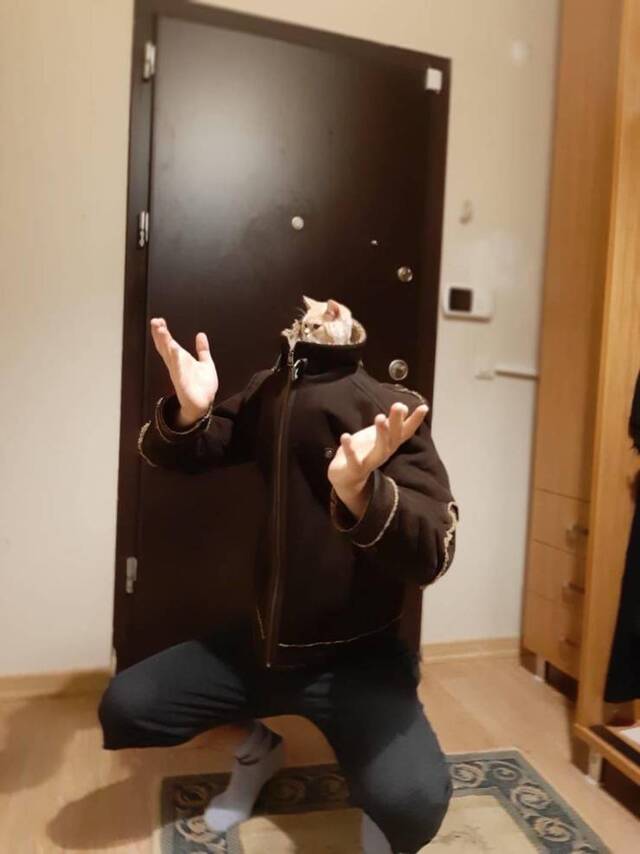 Bildschirmarbeiter - Picdump 26.06.2020