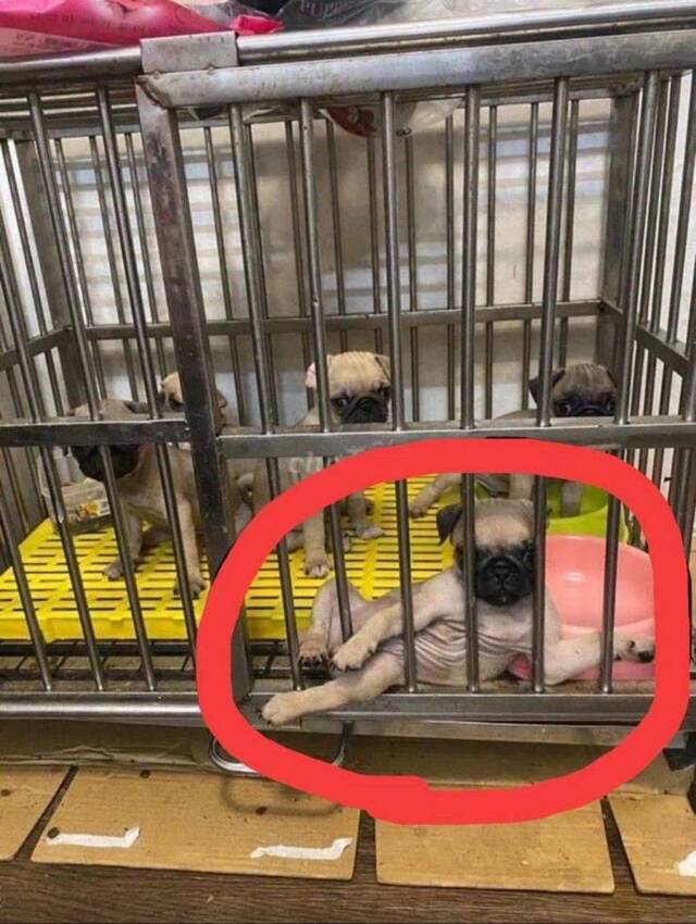 Bildschirmarbeiter - Picdump 26.06.2020