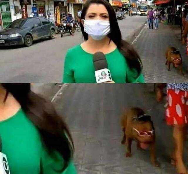 Bildschirmarbeiter - Picdump 26.06.2020