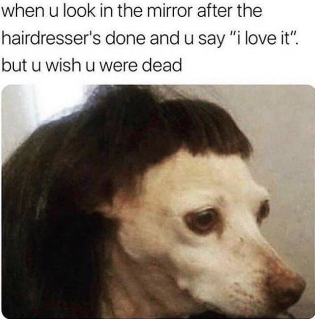 Bildschirmarbeiter - Picdump 26.06.2020