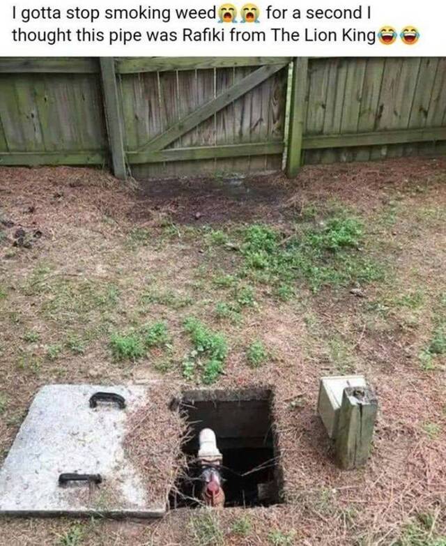 Bildschirmarbeiter - Picdump 26.06.2020