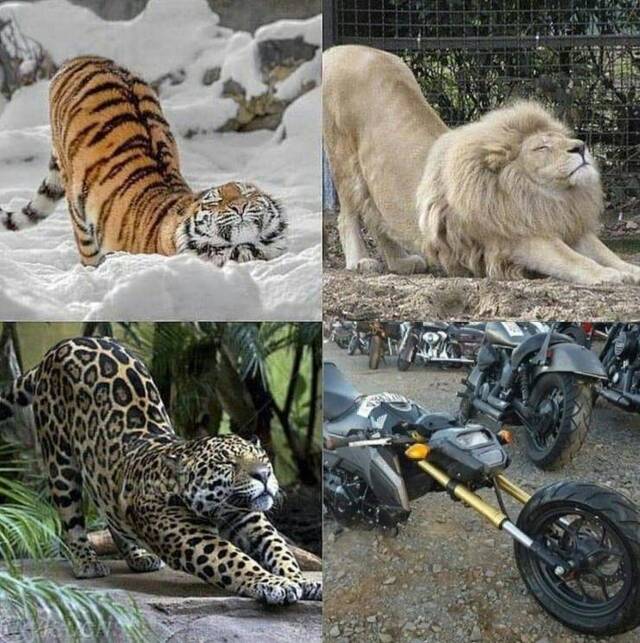 Bildschirmarbeiter - Picdump 26.06.2020