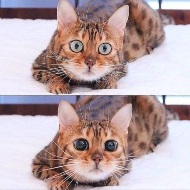 Bildschirmarbeiter - Picdump 26.06.2020