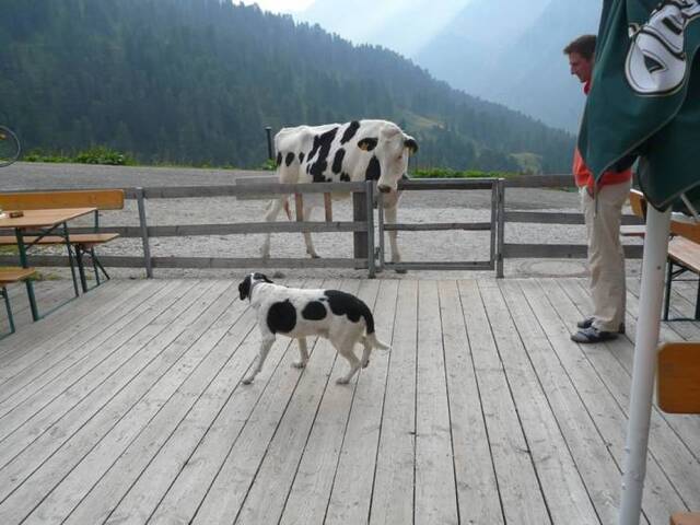 Bildschirmarbeiter - Picdump 04.07.2020