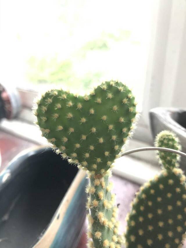 Bildschirmarbeiter - Picdump 04.07.2020