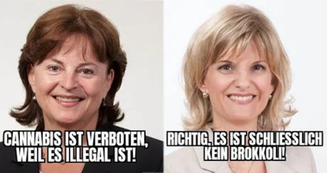 Bildschirmarbeiter - Picdump 10.07.2020