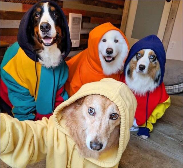 Bildschirmarbeiter - Picdump 10.07.2020