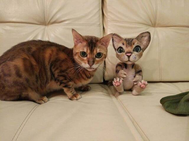 Bildschirmarbeiter - Picdump 10.07.2020