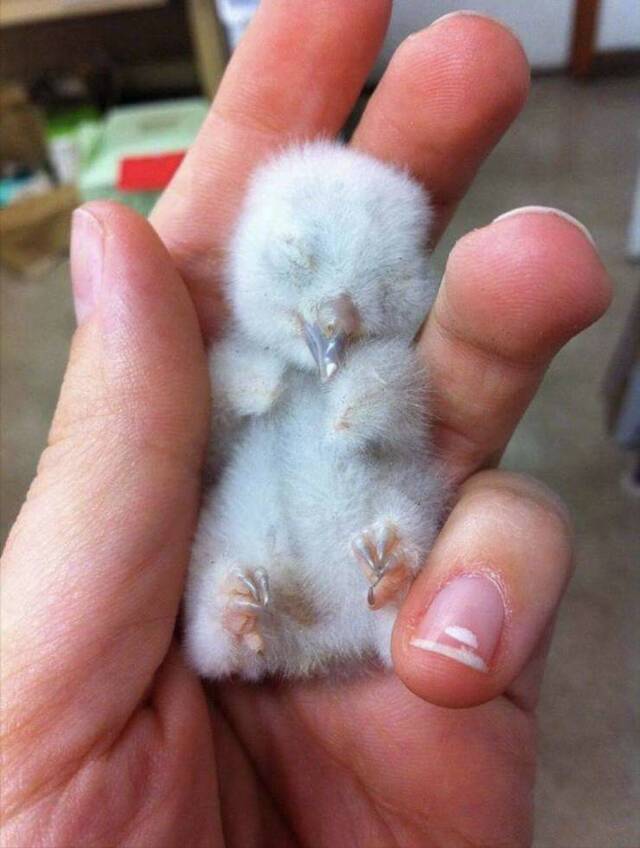 Bildschirmarbeiter - Picdump 10.07.2020