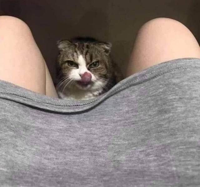 Bildschirmarbeiter - Picdump 10.07.2020