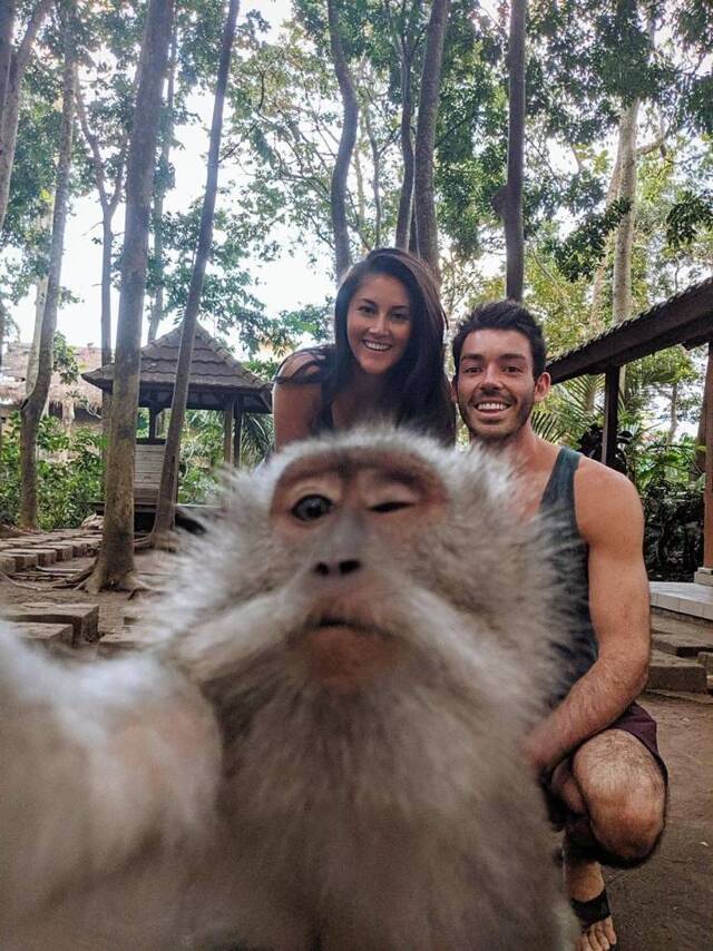 Bildschirmarbeiter - Picdump 10.07.2020