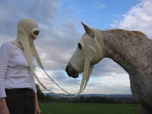 Bildschirmarbeiter - Picdump 10.07.2020