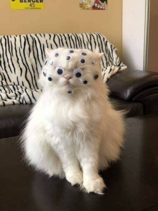 Bildschirmarbeiter - Picdump 10.07.2020