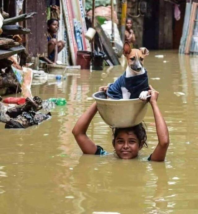 Bildschirmarbeiter - Picdump 17.07.2020