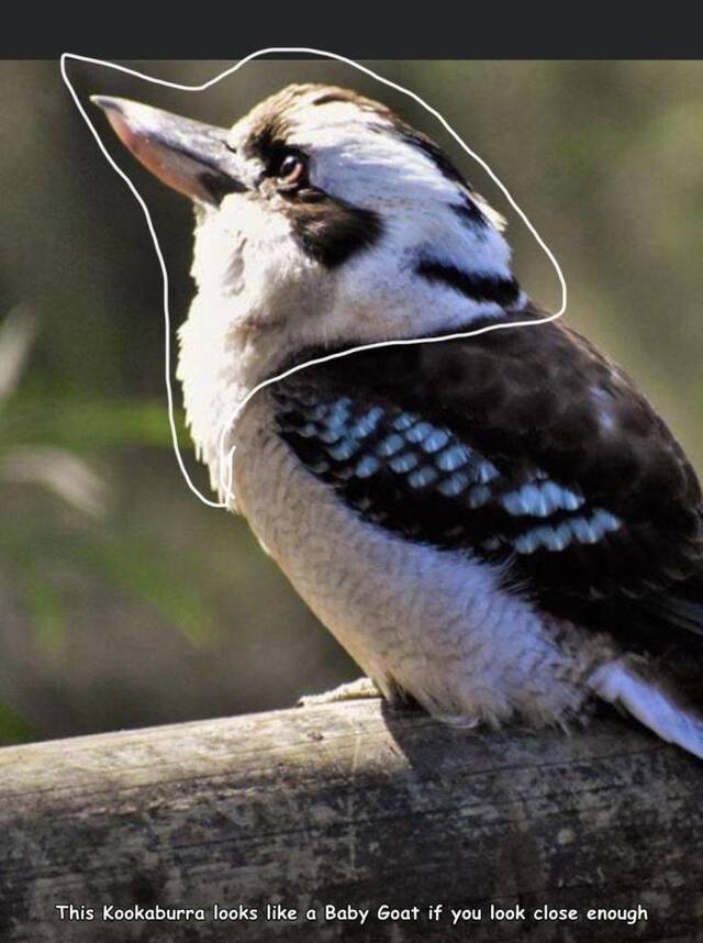 Bildschirmarbeiter - Picdump 17.07.2020