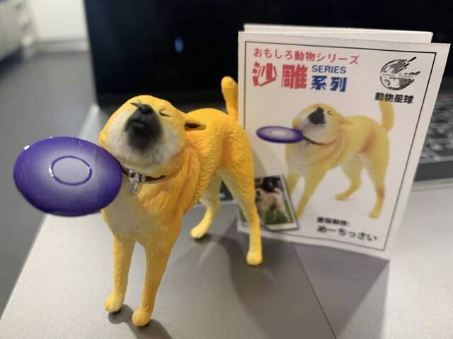 Bildschirmarbeiter - Picdump 17.07.2020