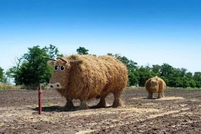 Bildschirmarbeiter - Picdump 17.07.2020