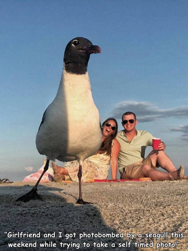 Bildschirmarbeiter - Picdump 17.07.2020