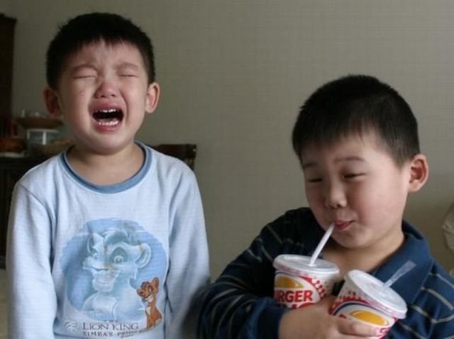 Bildschirmarbeiter - Picdump 26.11.2010