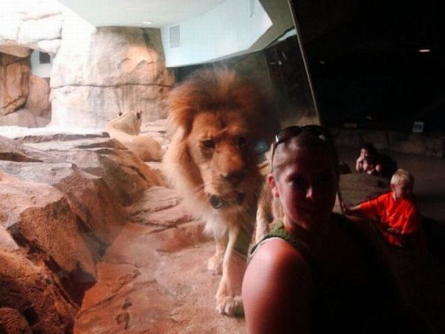 Bildschirmarbeiter - Picdump 26.11.2010