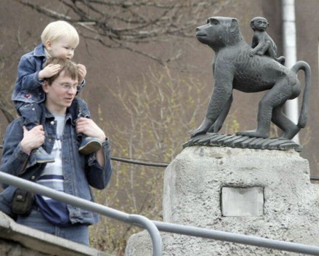 Bildschirmarbeiter - Picdump 26.11.2010