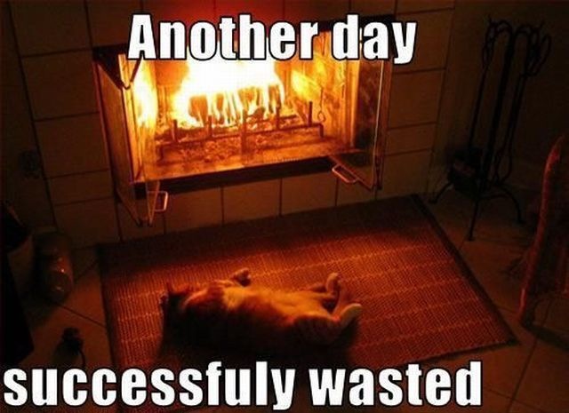 Bildschirmarbeiter - Picdump 26.11.2010