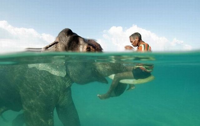 Bildschirmarbeiter - Picdump 26.11.2010