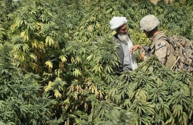 Bildschirmarbeiter - Picdump 26.11.2010