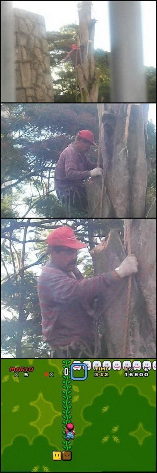 Bildschirmarbeiter - Picdump 26.11.2010