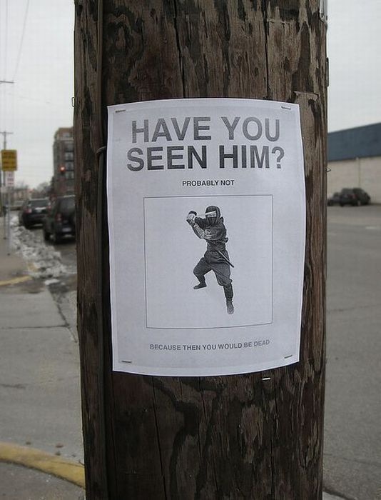 Bildschirmarbeiter - Picdump 26.11.2010