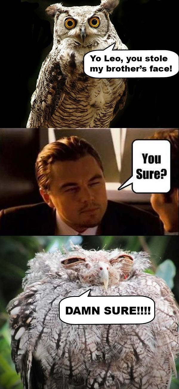 Bildschirmarbeiter - Picdump 26.11.2010