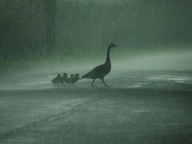 Bildschirmarbeiter - Picdump 03.12.2010