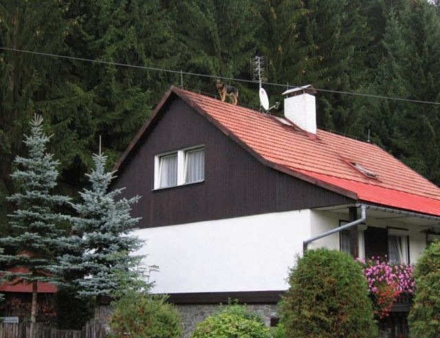 Bildschirmarbeiter - Picdump 03.12.2010