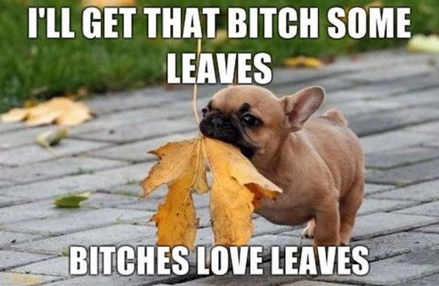 Bildschirmarbeiter - Picdump 03.12.2010