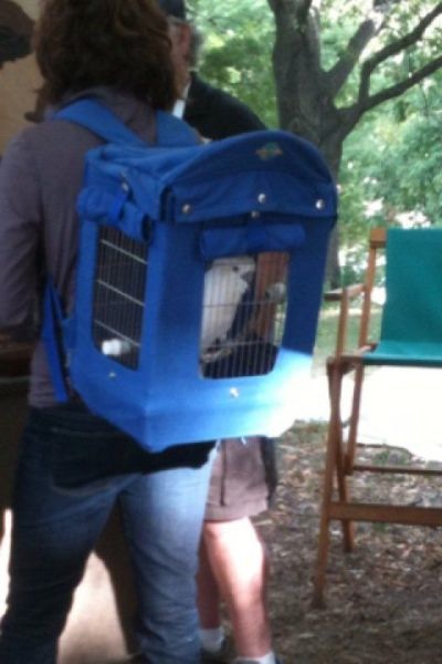 Bildschirmarbeiter - Picdump 03.12.2010