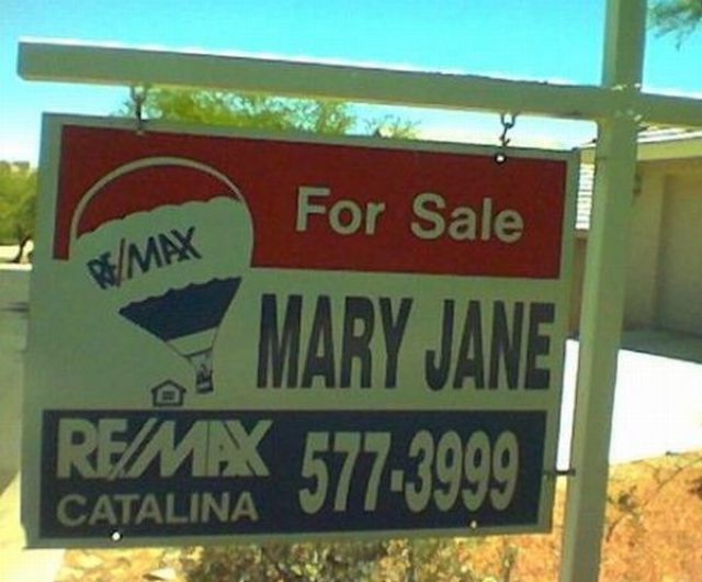 Bildschirmarbeiter - Picdump 03.12.2010