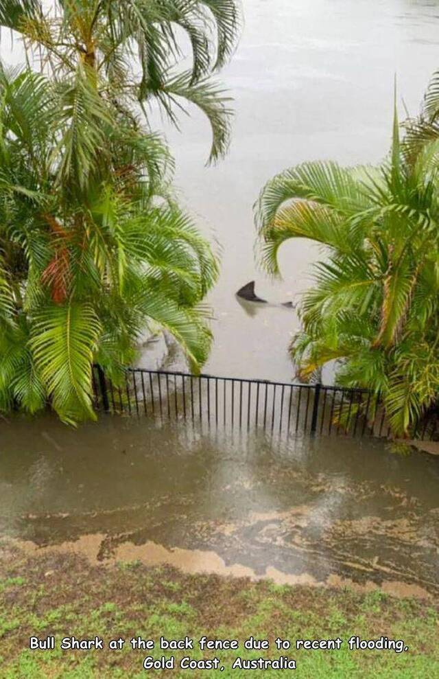 Bildschirmarbeiter - Picdump KW01 2021