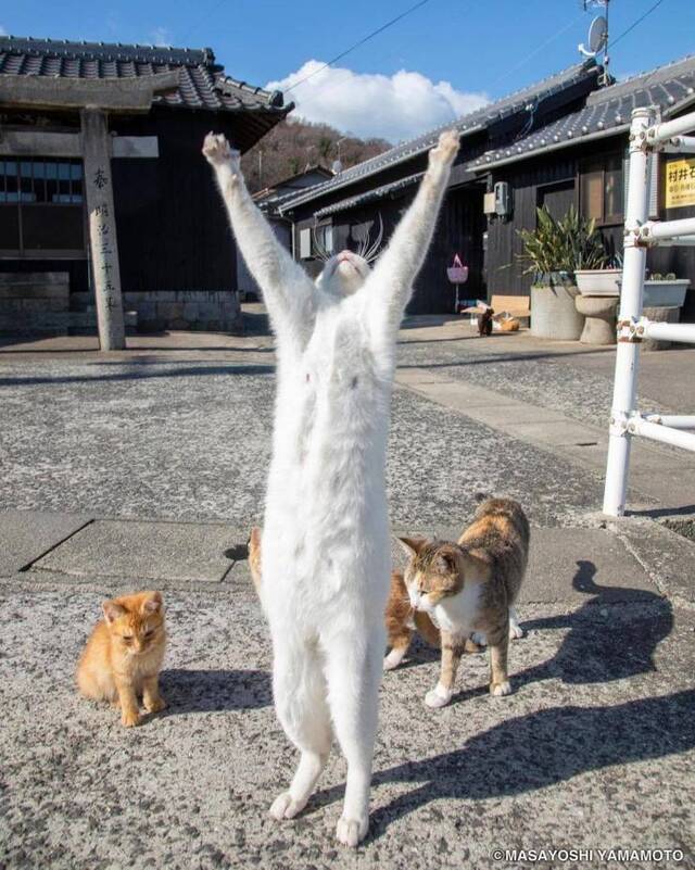 Bildschirmarbeiter - Picdump KW01 2021