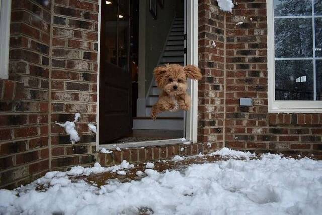 Bildschirmarbeiter - Picdump KW01 2021