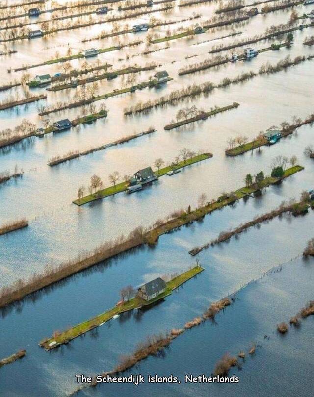 Bildschirmarbeiter - Picdump KW01 2021