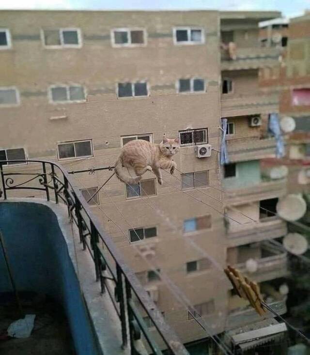 Bildschirmarbeiter - Picdump KW01 2021