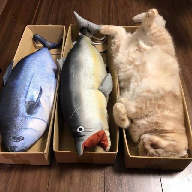 Bildschirmarbeiter - Picdump KW01 2021