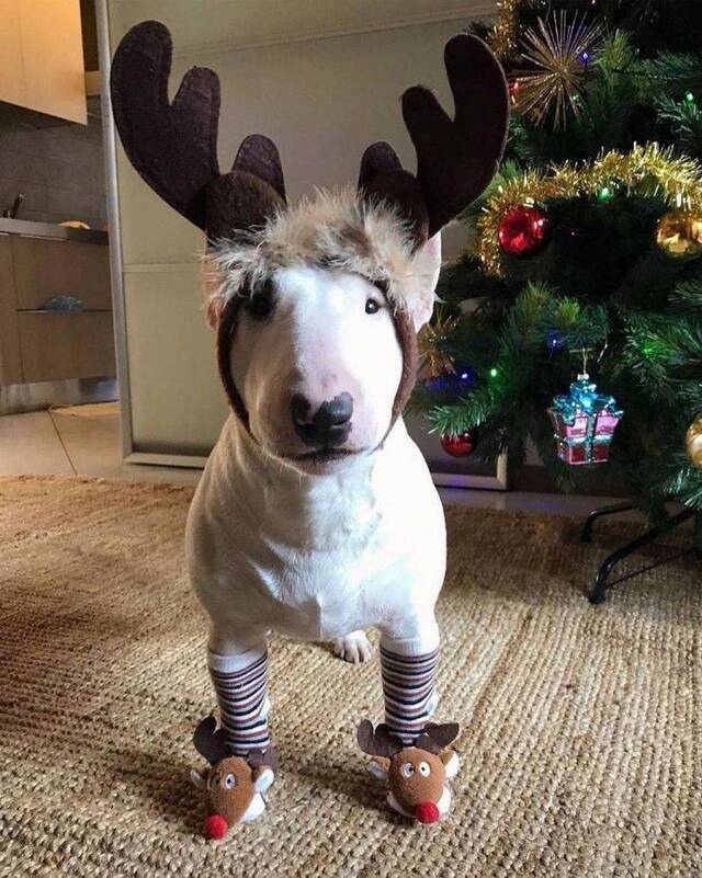 Bildschirmarbeiter - Picdump KW01 2021