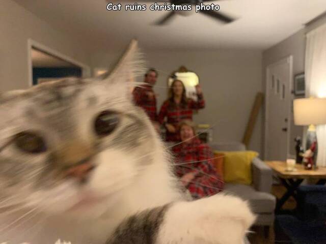 Bildschirmarbeiter - Picdump KW01 2021