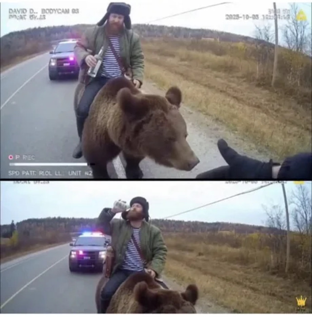 Bildschirmarbeiter - Picdump KW 01/2026