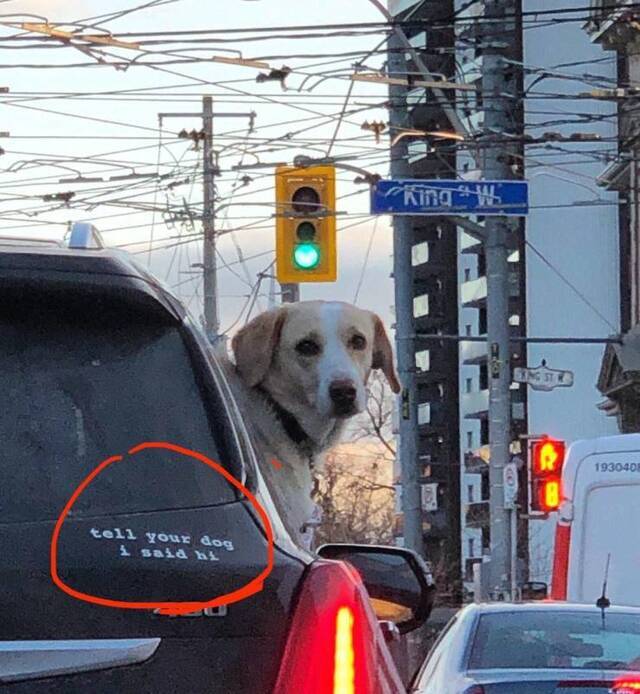 Bildschirmarbeiter - Picdump KW02 2021