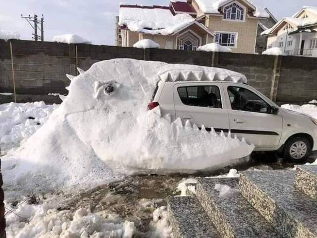 Bildschirmarbeiter - Picdump KW02 2021